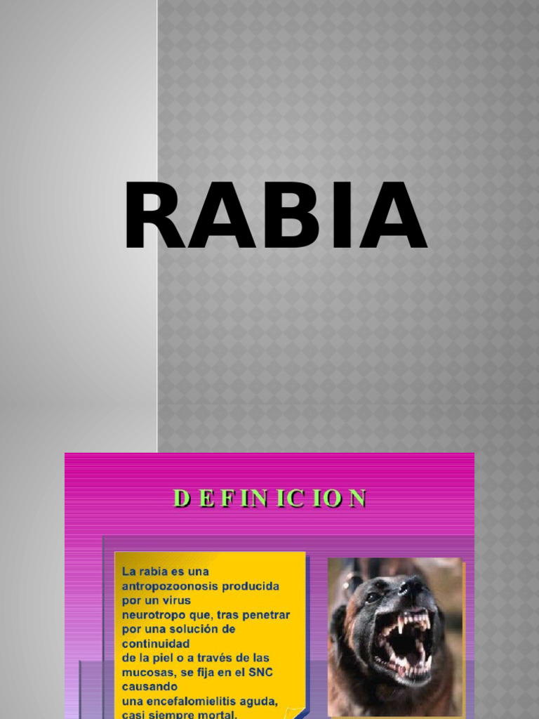 Rabia | PDF