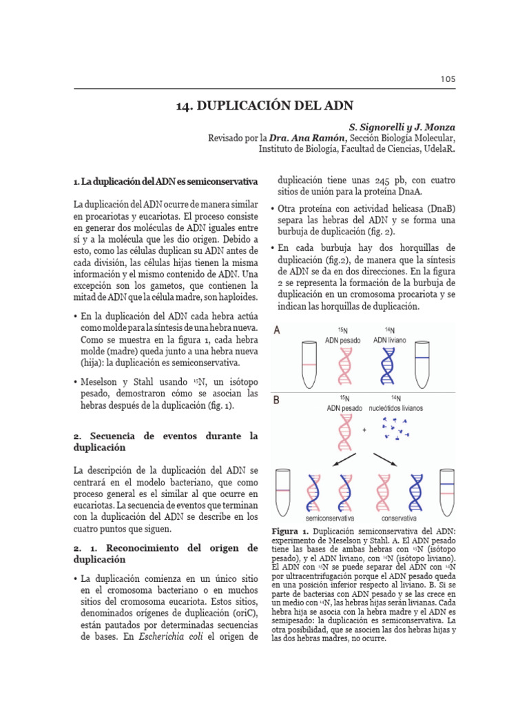 Manual+de+nivelación+Bioquímica+-+Parte+2 (PDF - Io) | PDF | Traducción ...