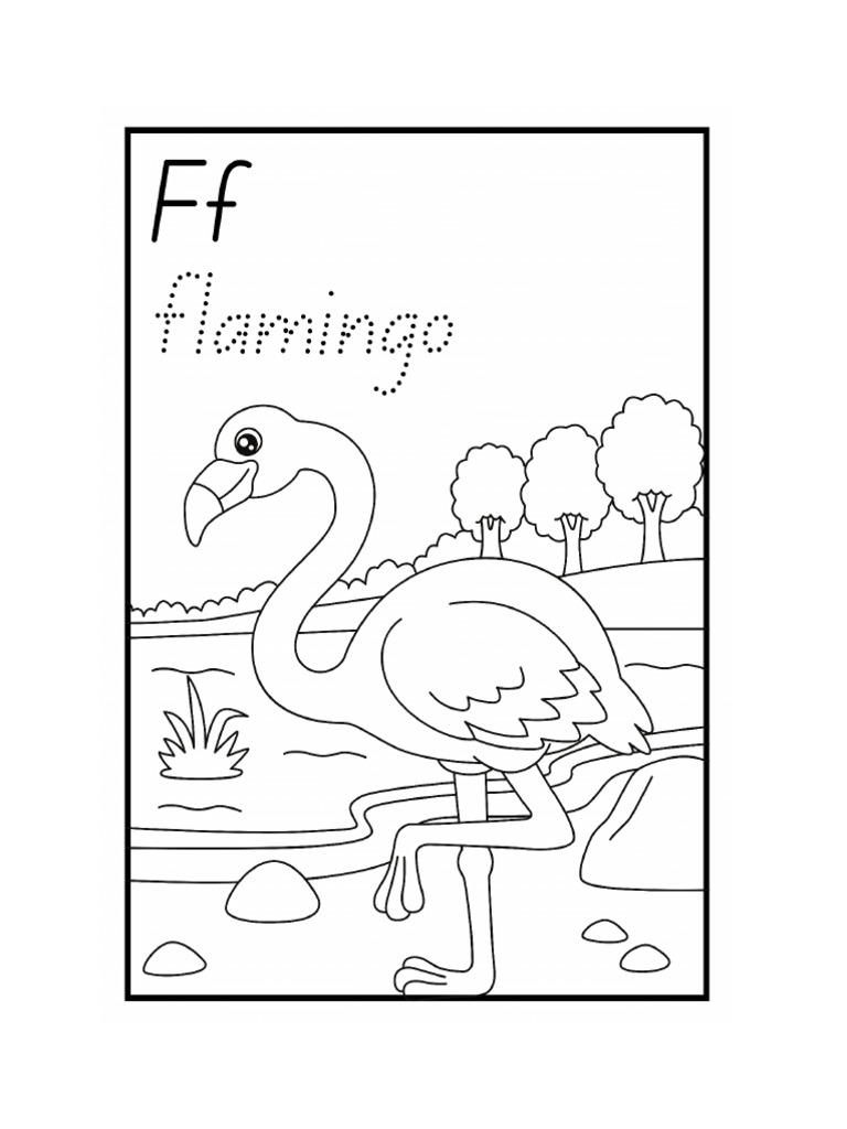 FLAMINGO | PDF