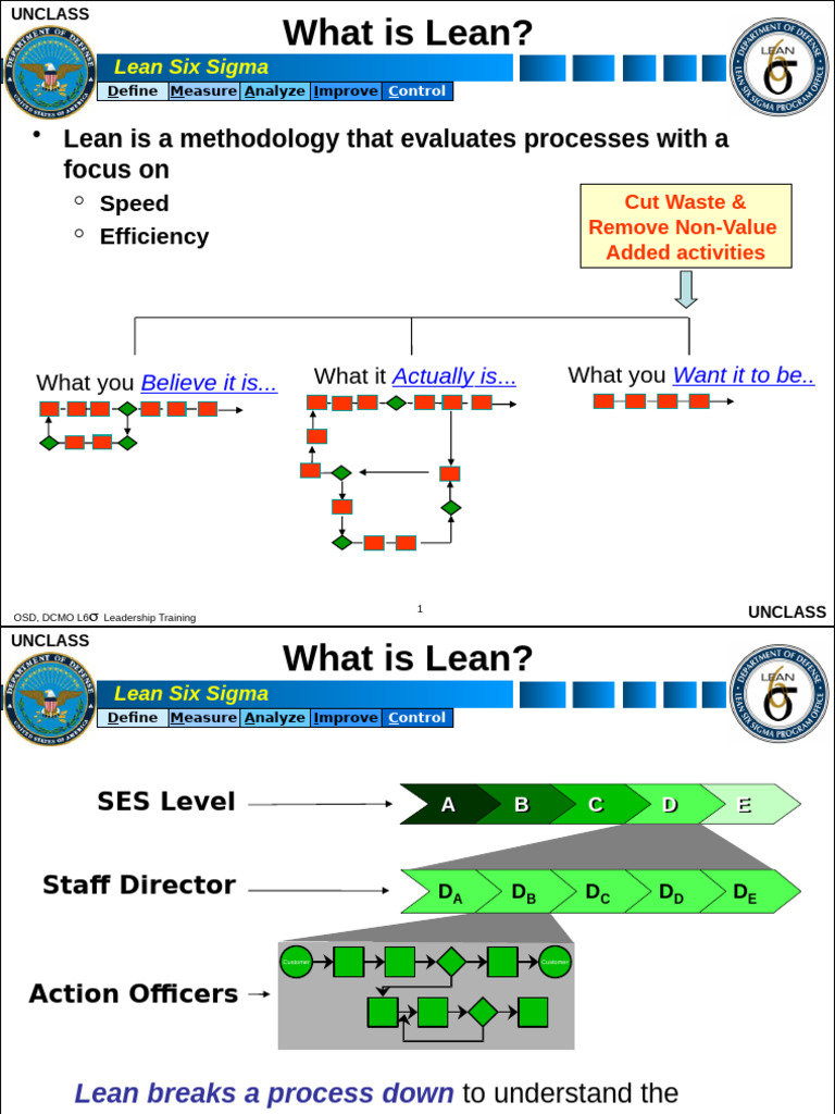 Lean Six Sigma Overview and Benefits | PDF | Six Sigma
