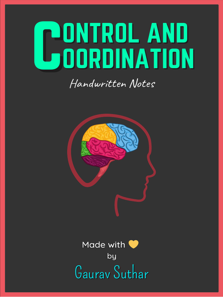 Control and Coordination Notes | PDF | Neuron | Nervous System