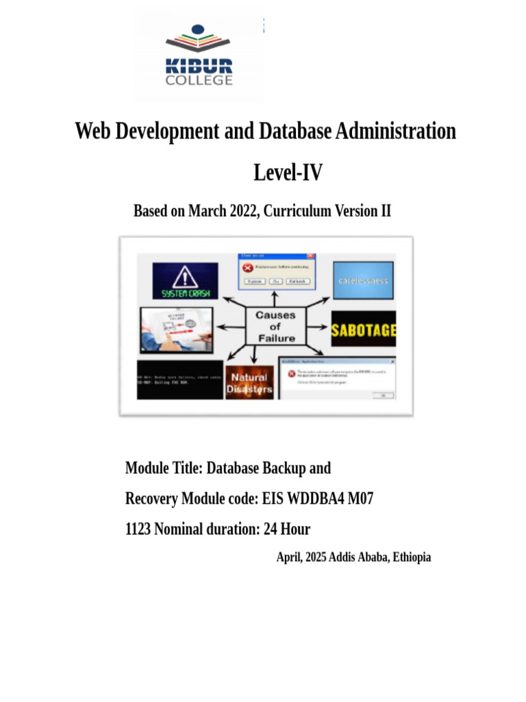 Database Backup Techniques Overview | PDF | Backup | Databases