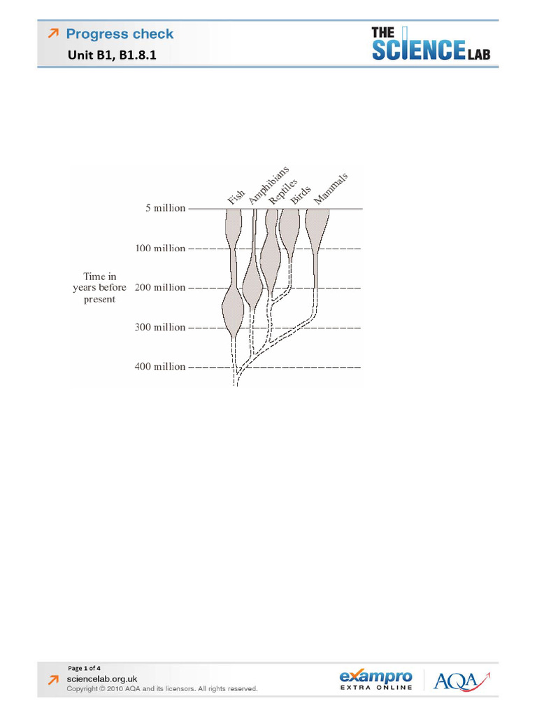 Evolution of Vertebrates and Species Theories | PDF | Evolution ...