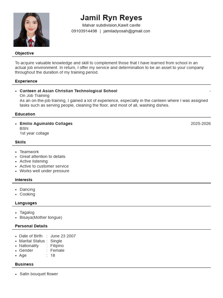 Jamil Ryn Reyes: CV and Skills Overview | PDF