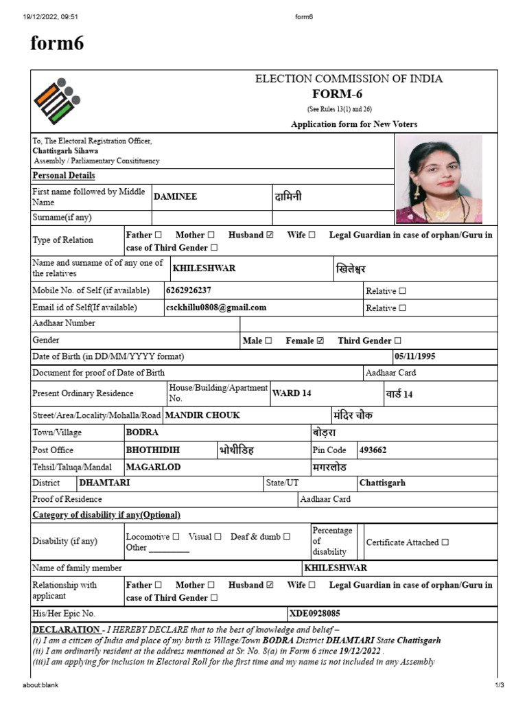 New Voter Registration Form 6 | PDF | Government | Elections