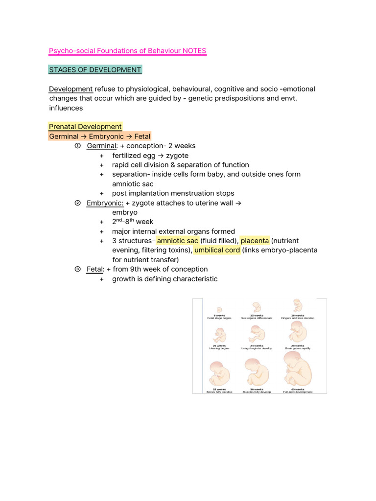 Psycho-Social Development Stages Overview | PDF | Prenatal Development ...