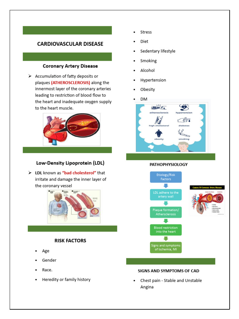 Understanding Coronary Artery Disease | PDF | Coronary Artery Disease ...