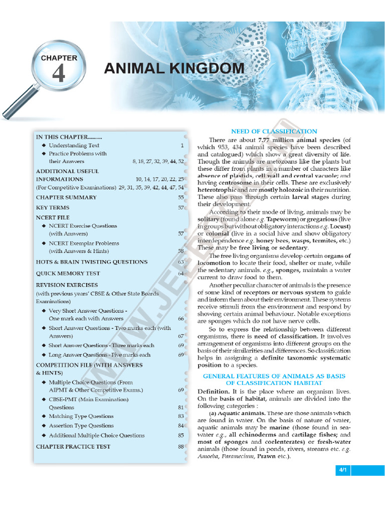 Animal Kingdom | PDF
