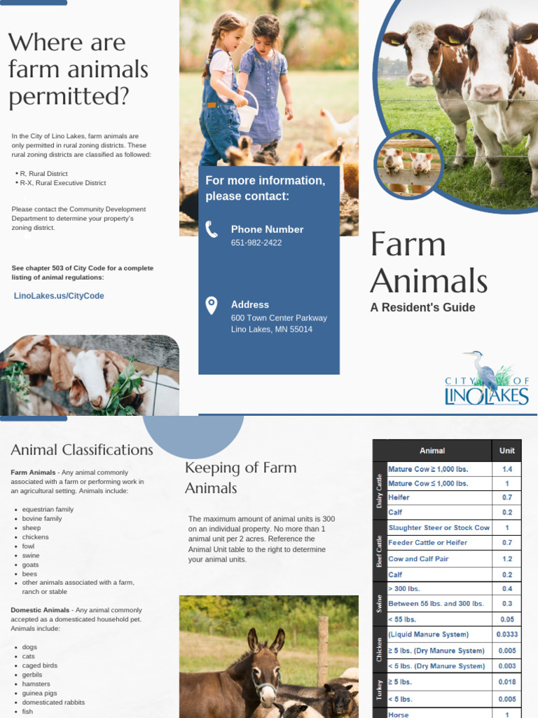 Farm Animals Brochure 03.03.2025 - 202503031548500013 | PDF