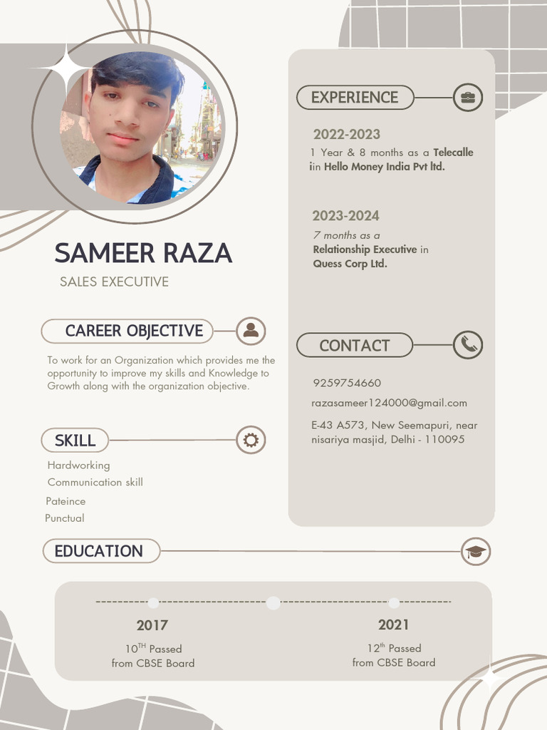 Resume of Sameer Raza: Sales Executive | PDF