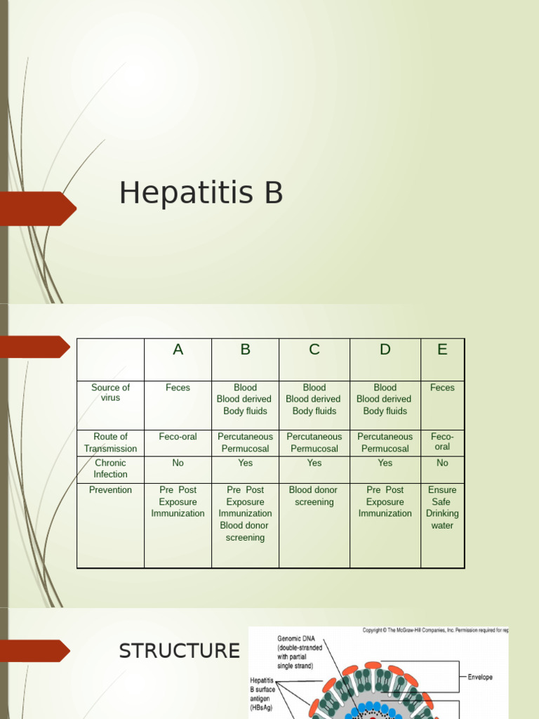 ChRV3ksFb0DA rzA0Nys3DRQ1kfxpBAA | PDF | Hepatitis B | Public Health