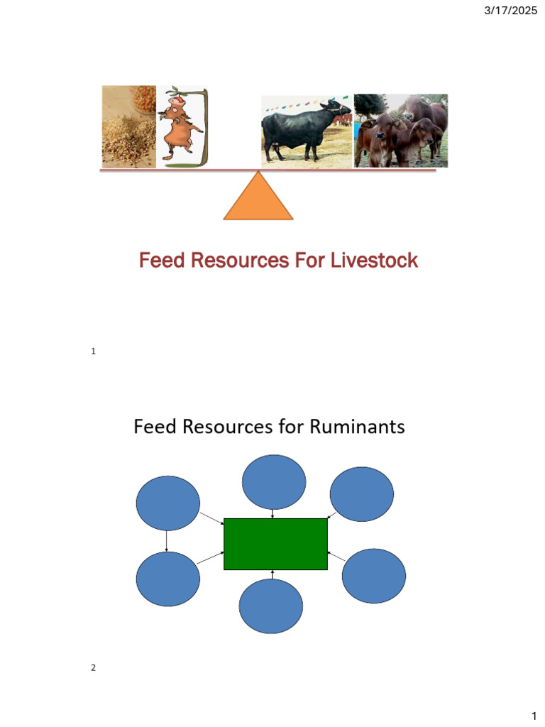 Fodder Classification and Types | PDF | Fodder | Legume