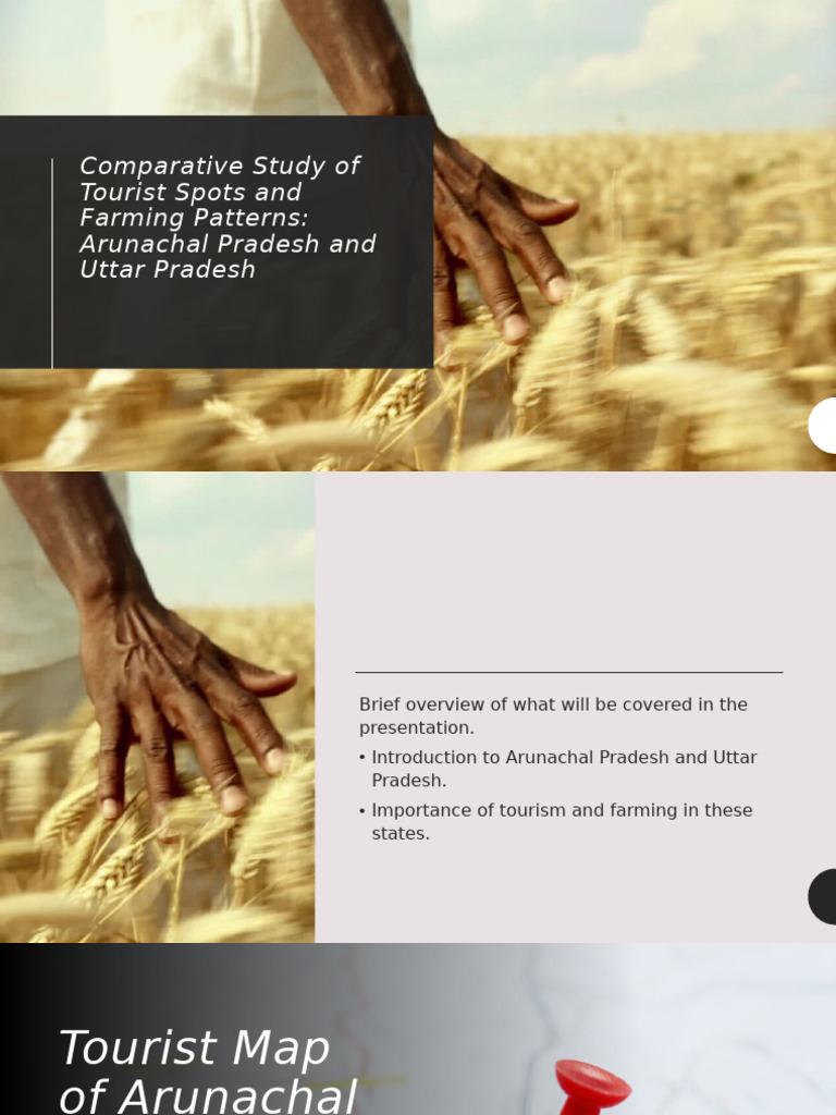 Farming Patterns in Arunachal & Uttar Pradesh | PDF | Agriculture | Crops