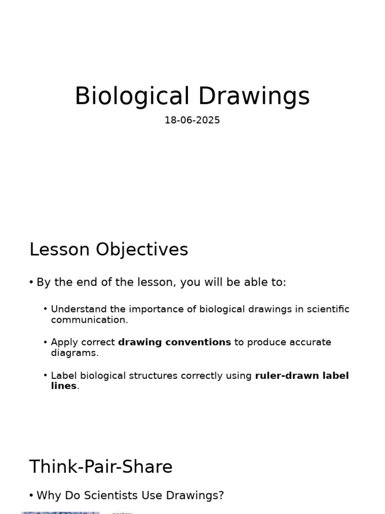 Guidelines for Effective Biological Drawings | PDF | Drawing