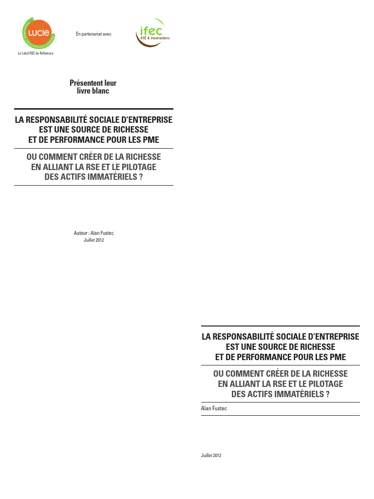 RSE : Richesse et Performance pour PME | PDF | Responsabilité sociétale ...