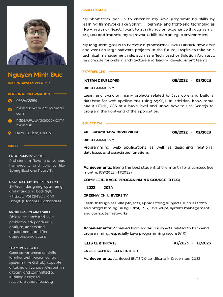 Java Developer Profile: Minh Đức | PDF | Computer Programming | Databases