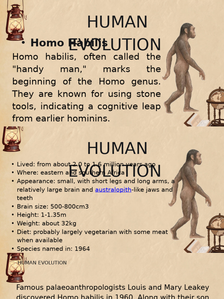 Overview of Human Evolution Species | PDF | Human Evolution | Homo