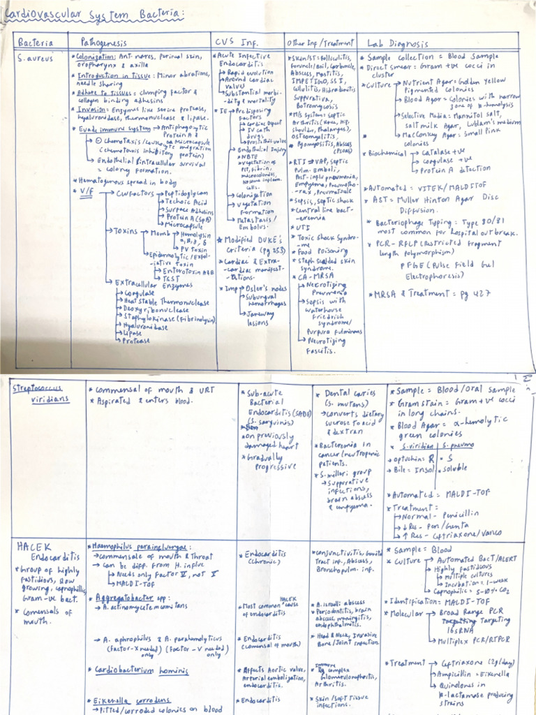 CVS | PDF