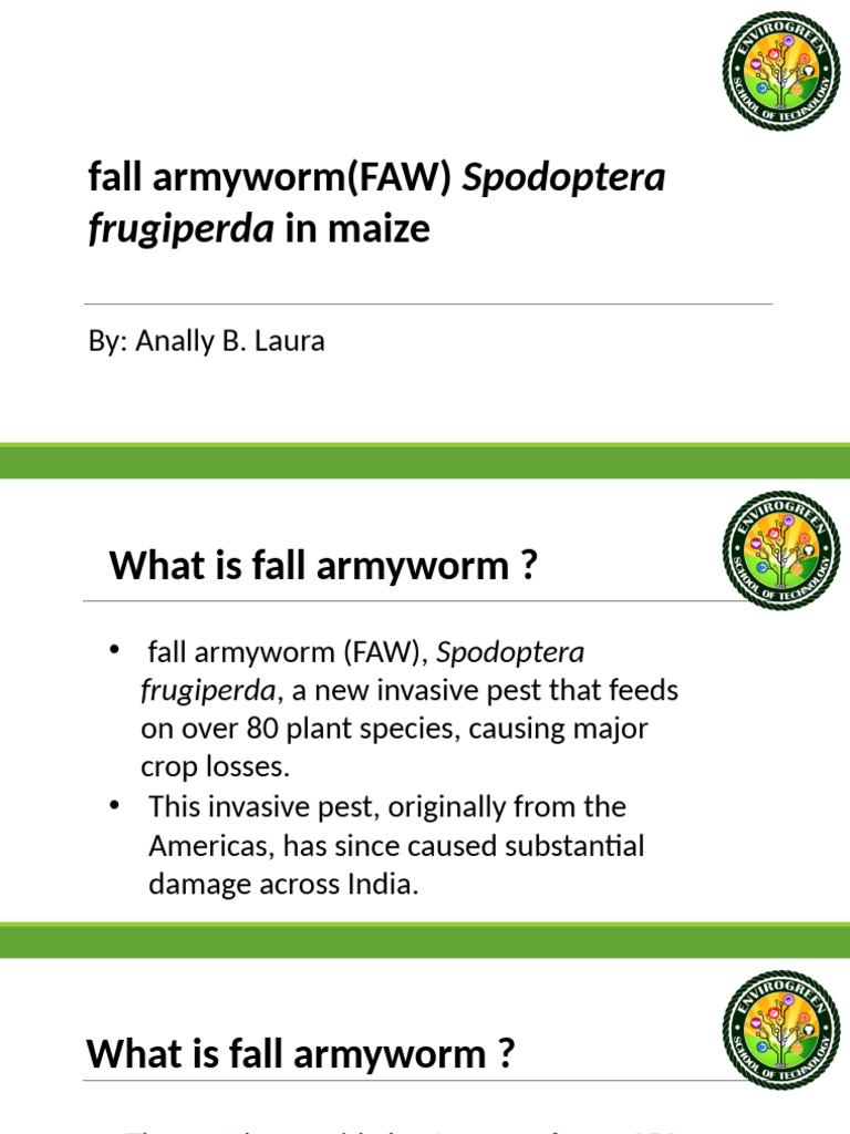 Fall Armyworm Lifecycle and IPM Strategies | PDF | Biological Pest ...