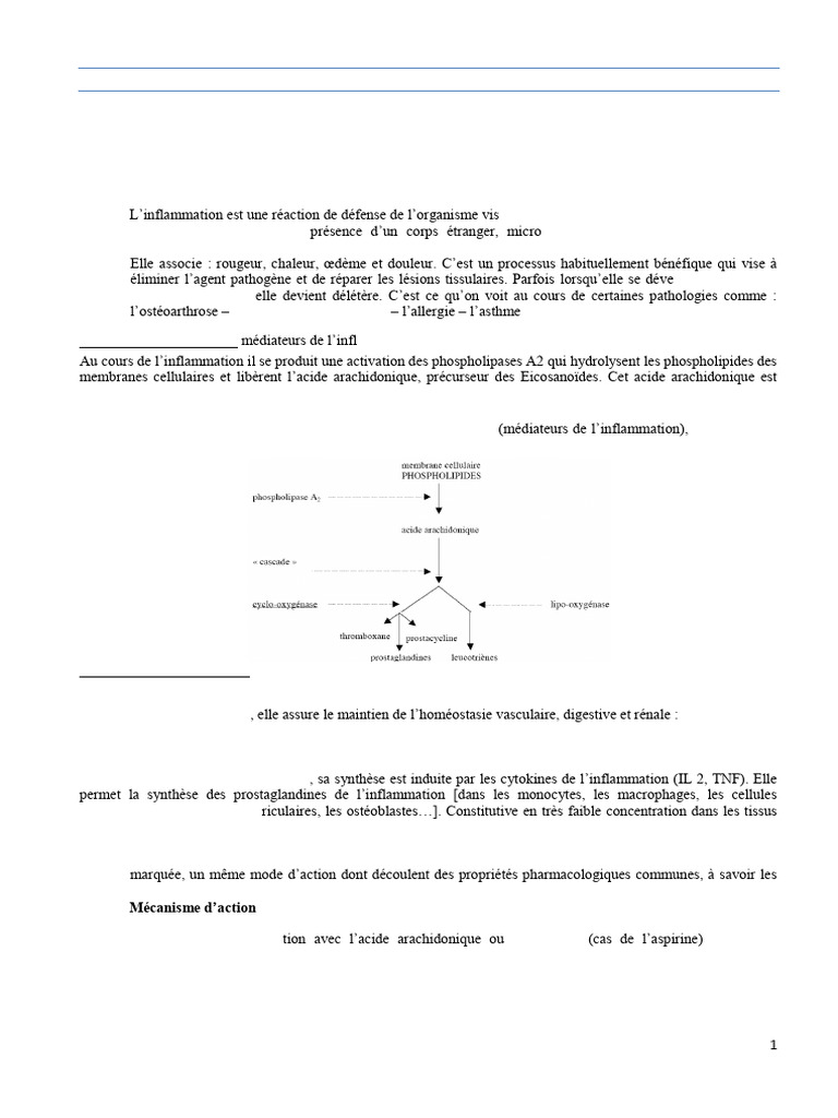 Classification des AINS en pharmacologie | PDF | Anti-inflammatoire non ...