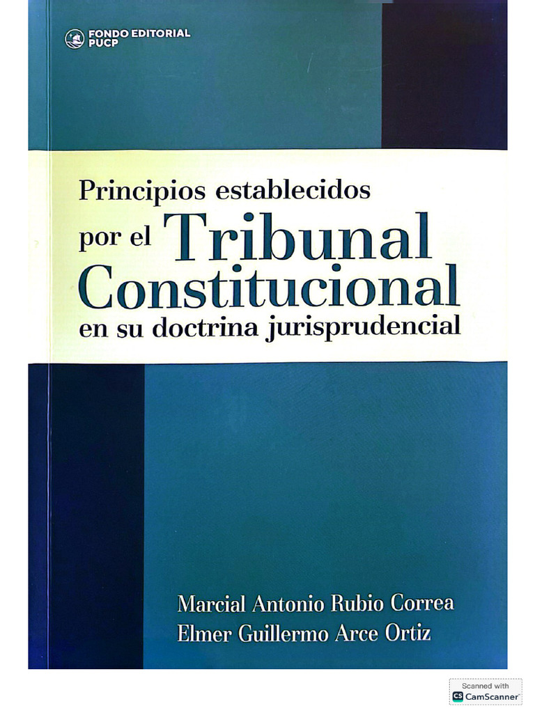 Principios Establecidos Por El TC | PDF