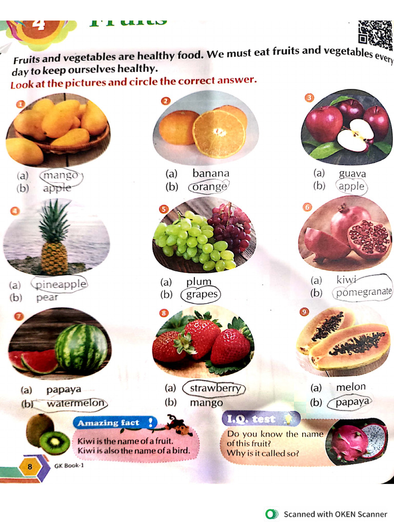 Fruits | PDF