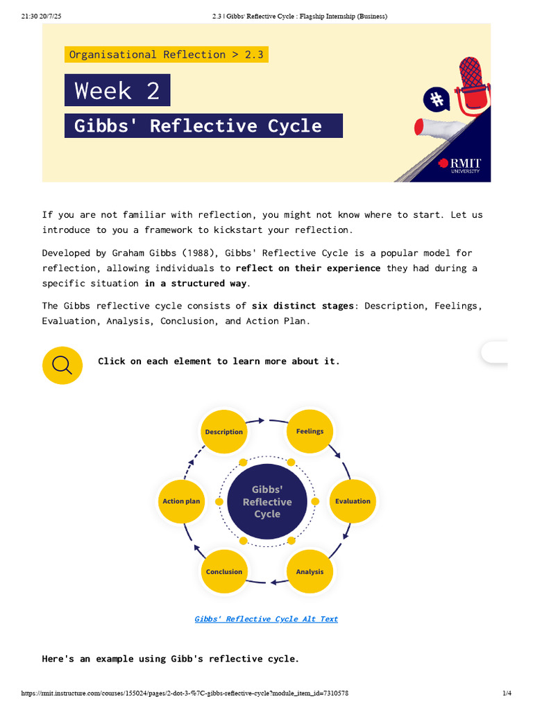Gibbs Reflective Cycle for Interns | PDF | Reflective Practice ...