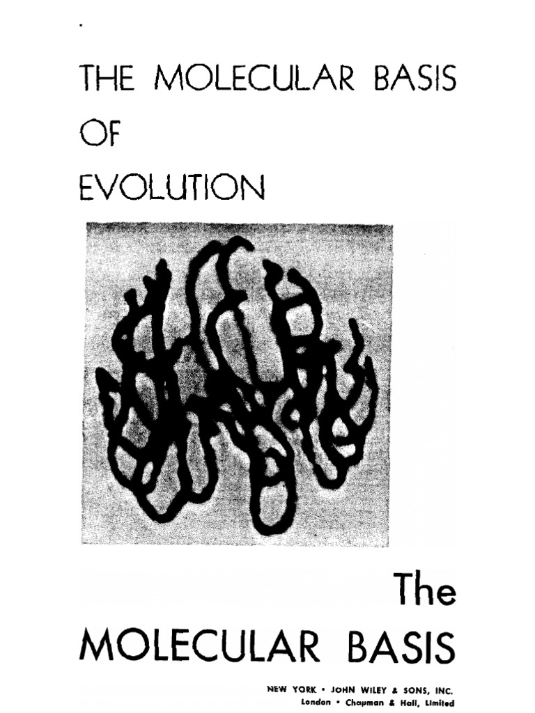 Molecular Basis of Evolution | PDF | Biochemistry | Chemistry