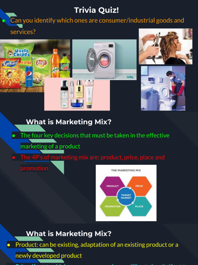 CH 19 - The Marketing Mix - Product and Price | PDF