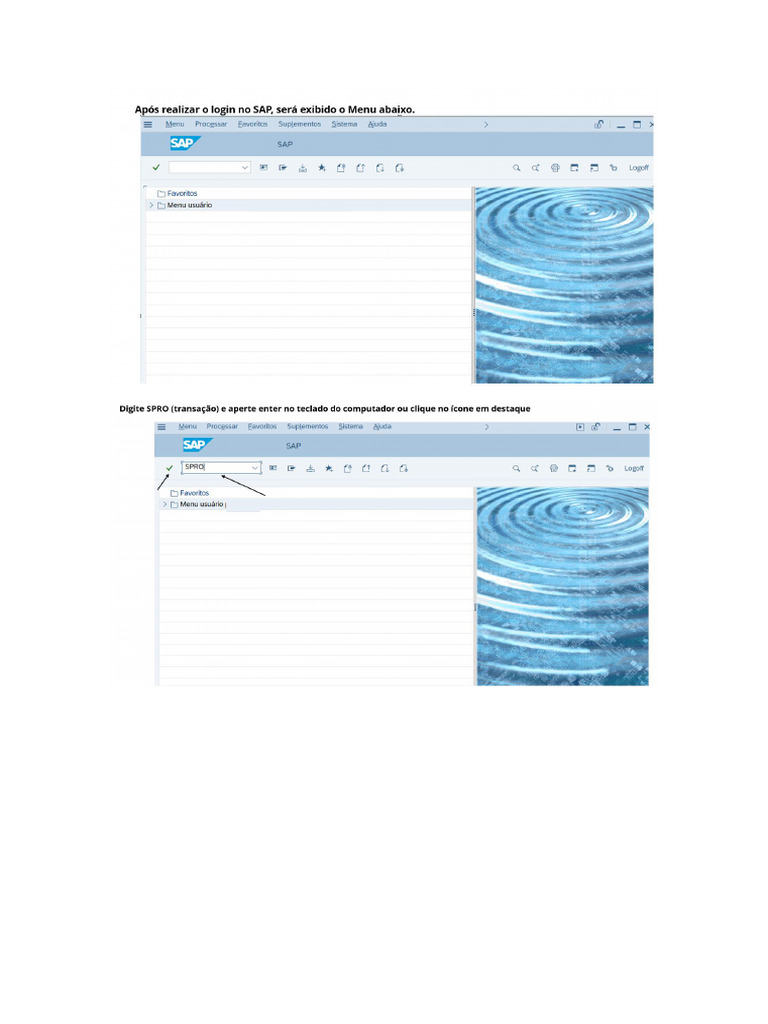 Passo A Passo para Acessar A SPRO - Customizing de Projetos SAP | PDF