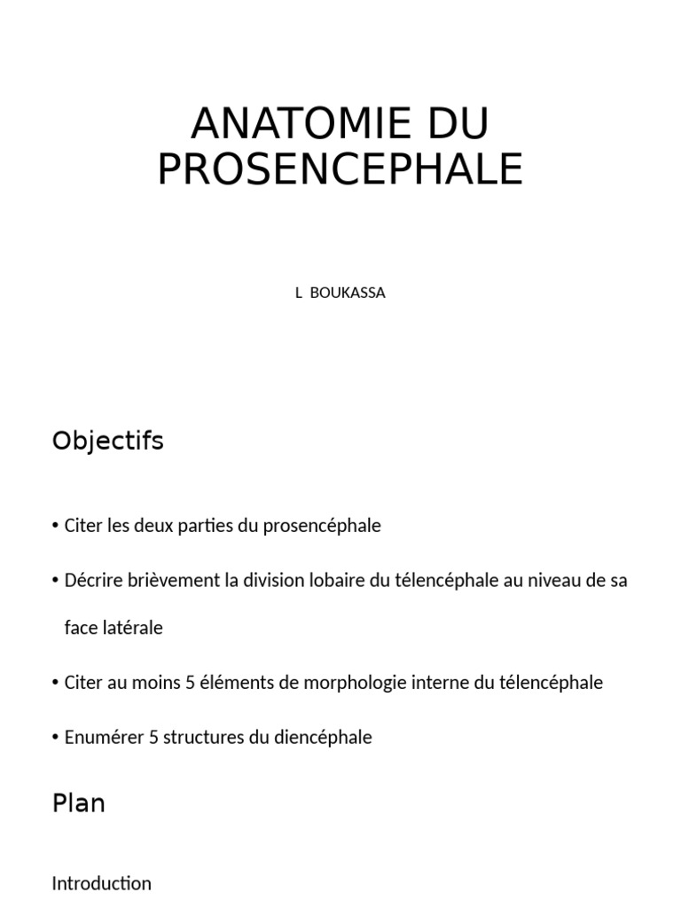 Anatomie du Prosencéphale | PDF | Circonvolution cérébrale | Lobe temporal