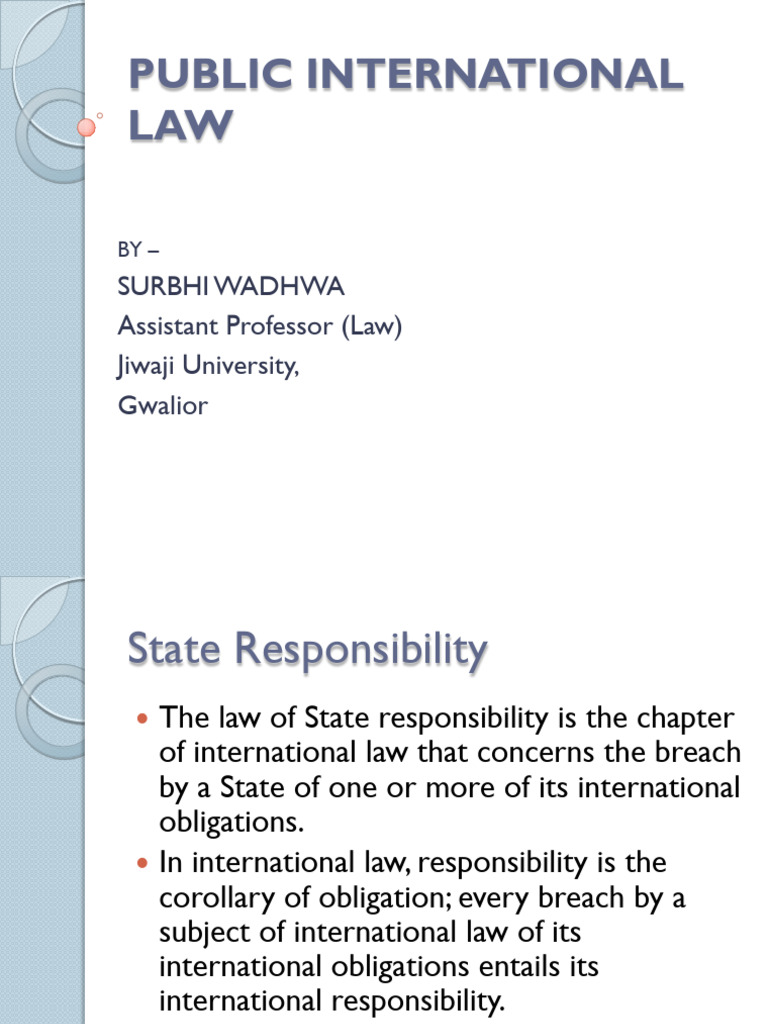 Understanding State Responsibility in International Law | PDF ...
