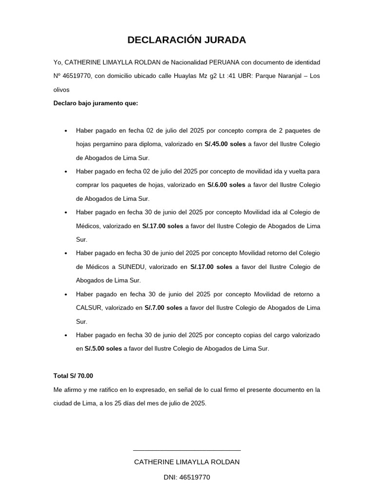 Declaración Jurada de Gastos 2025 | PDF