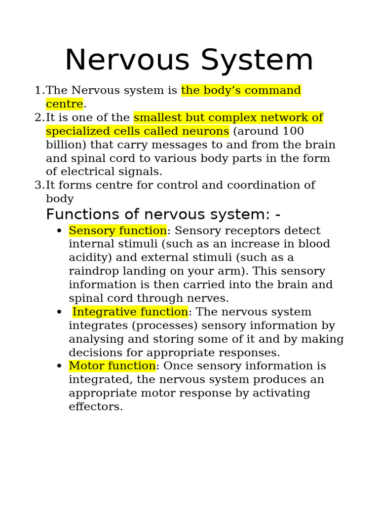 Neurons: Structure and Function Overview | PDF | Neuron | Axon