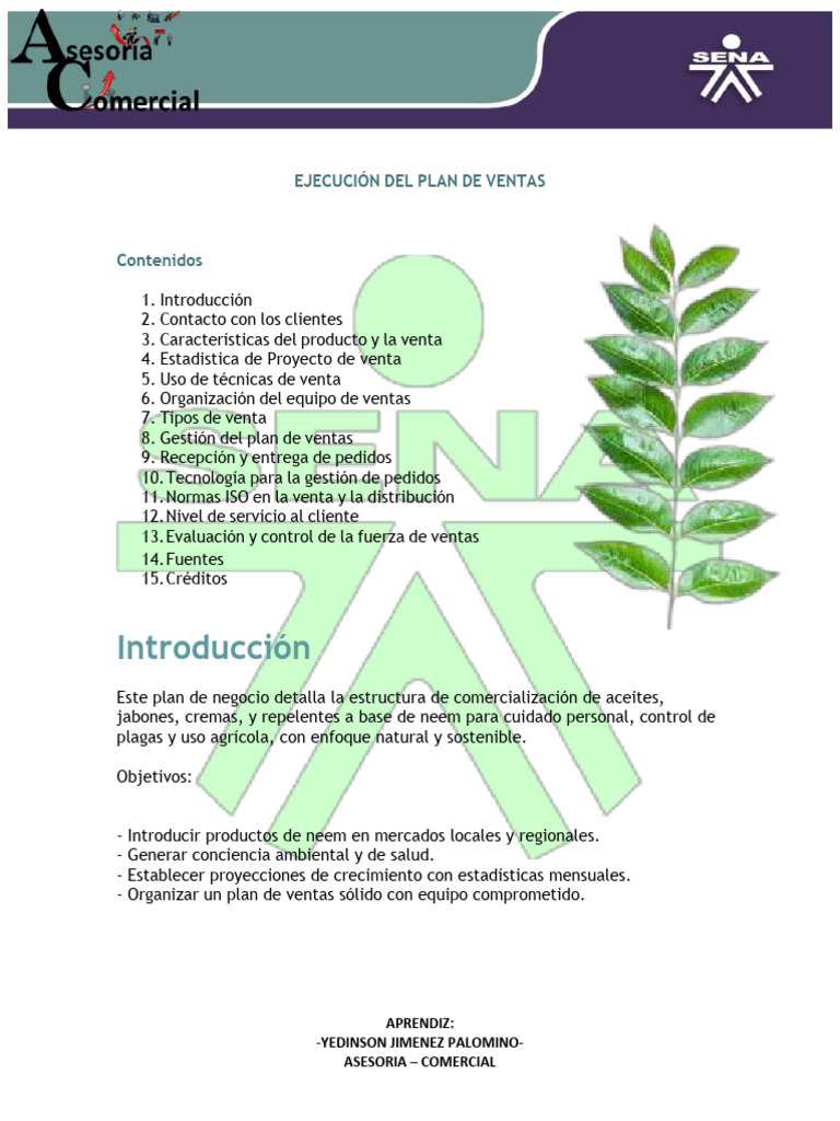 Ejecución Del Plan de Ventas | PDF | Ventas | Business