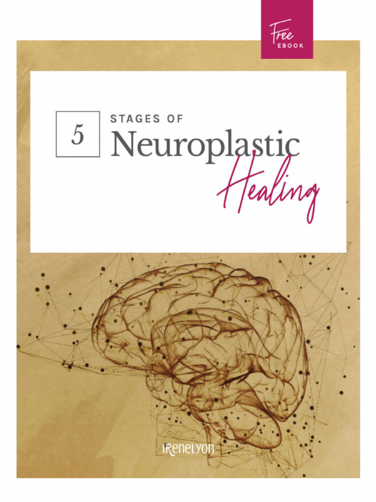 5 Stages Neuroplastic | PDF | Cerebro | Neuroplasticidad