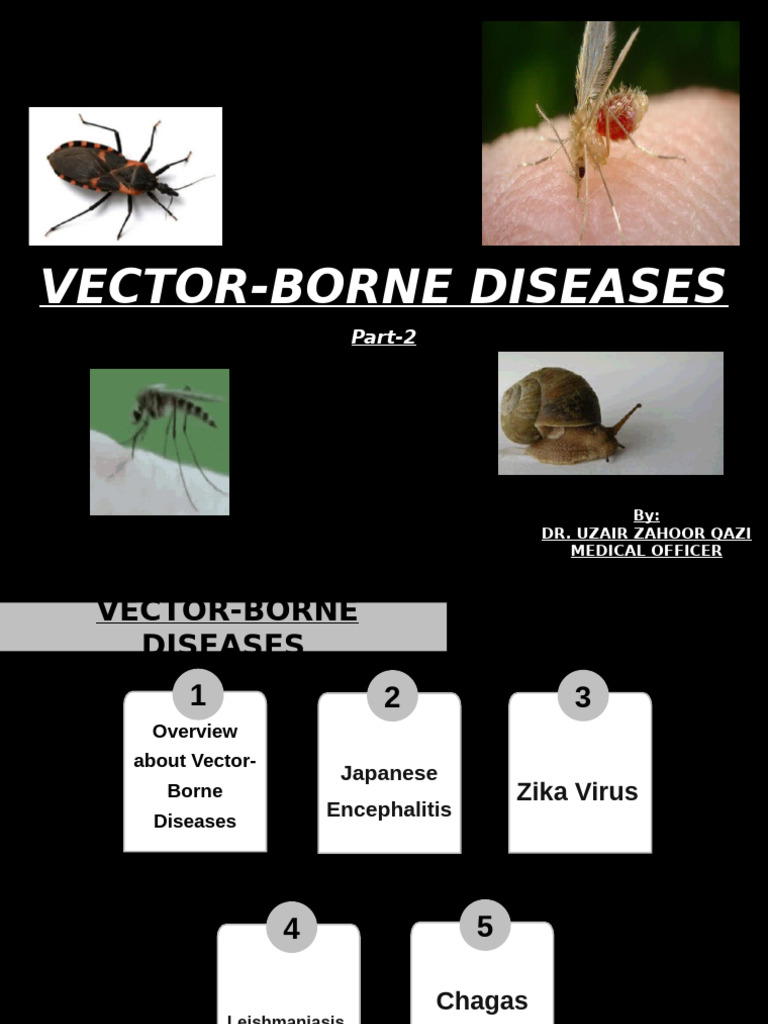 Vector Borne Diseases (Part 2) | PDF | Zika Fever | Zika Virus