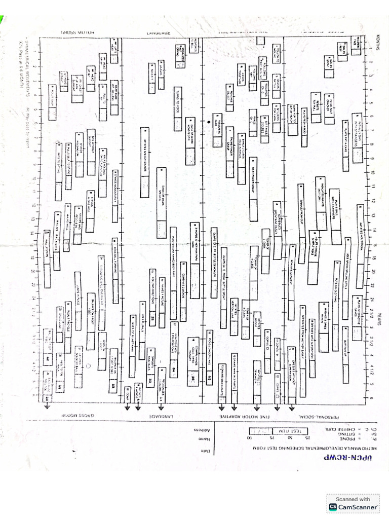 MMDST Test Form 2025 | PDF