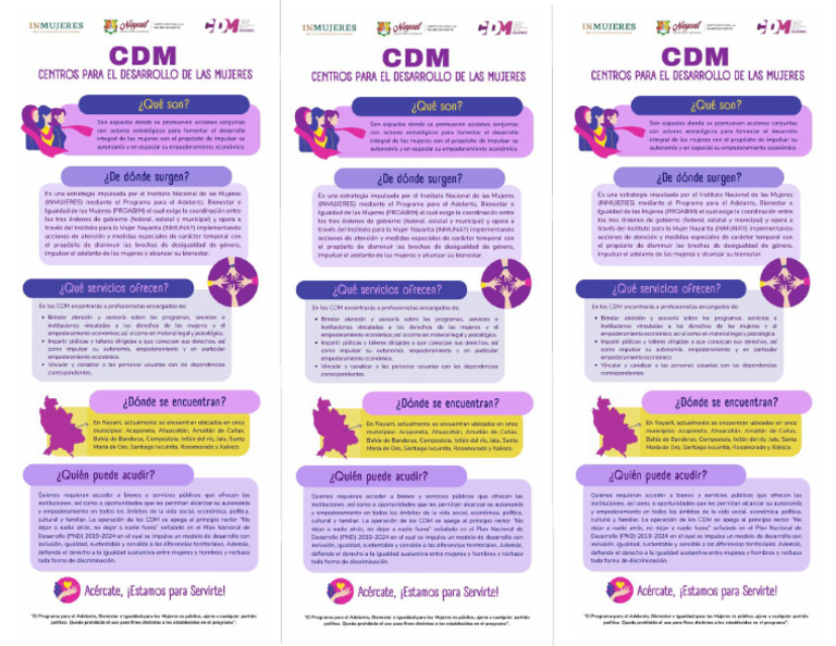 Infografia CDM A Color PDF | PDF