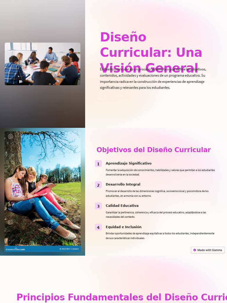 Diseno Curricular Una Vision General | PDF | Plan de estudios | Aprendizaje