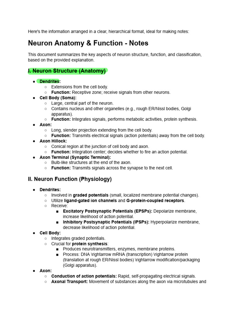 Neuron Anatomy and Function Overview | PDF | Action Potential | Myelin