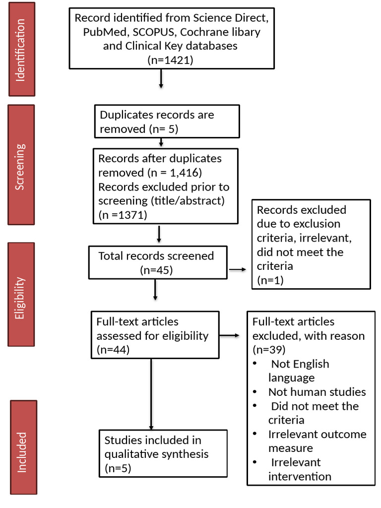 Systematic Review PRISMA Flowchart | PDF