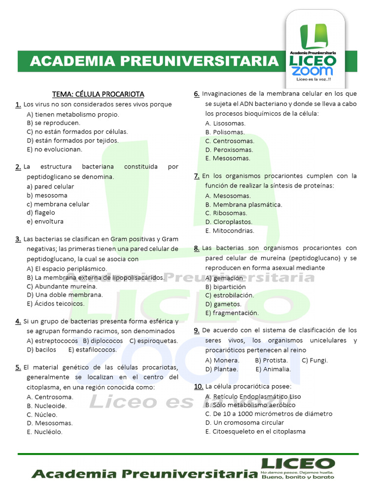 Estructura y Clasificación de Células Procariotas | PDF | Las bacterias ...