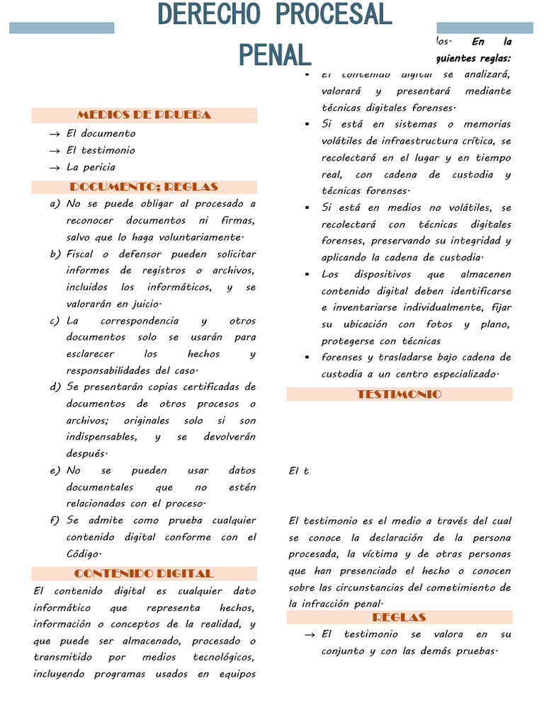 Derecho Procesal Penal Ii | PDF | Fiscal | Testigo