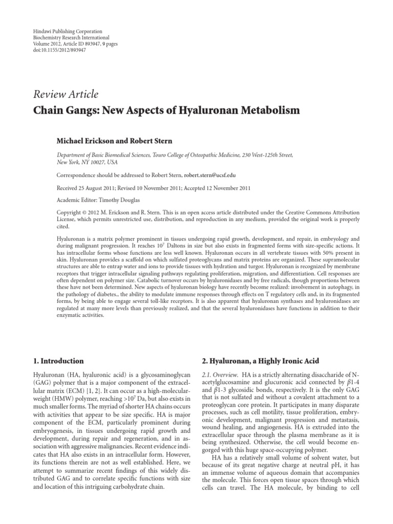 New Aspects of Hyaluronan Metabolism | PDF | Extracellular Matrix | Enzyme