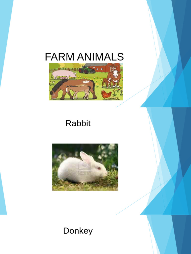 Farm Animals | PDF