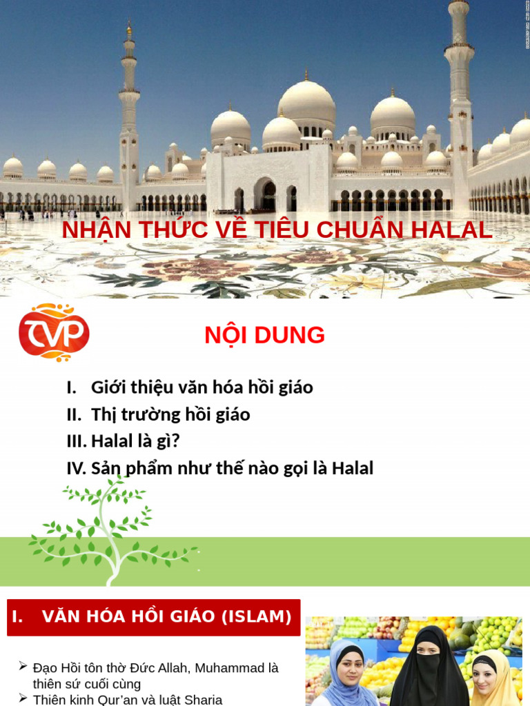 HALAL Presentation | PDF