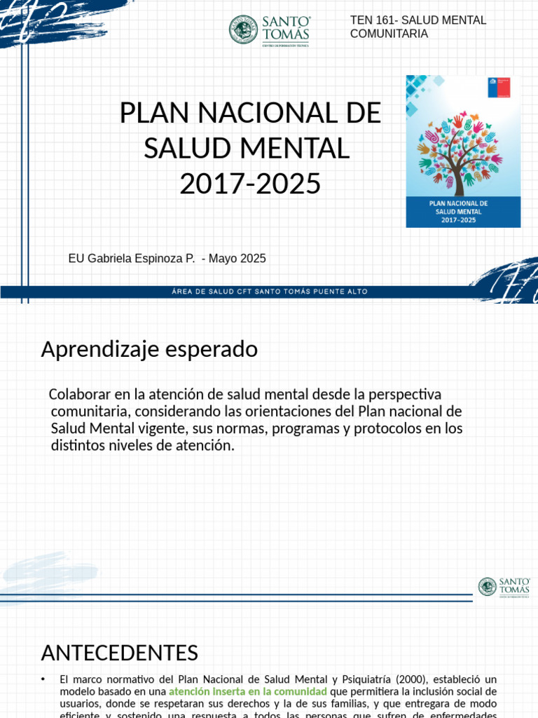S11 Plan Nacional de Salud Mental | PDF | Salud mental | Trastorno mental