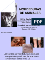 Mordedura Animales