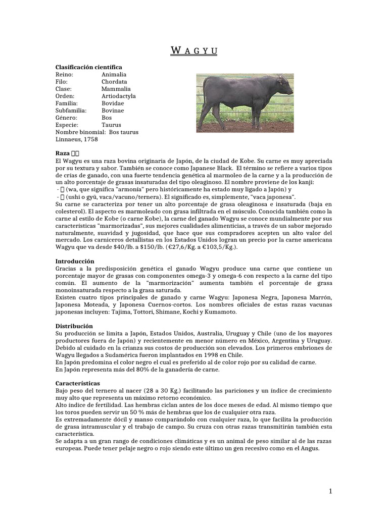 Wagyu | PDF | Ganado | Animales domesticados